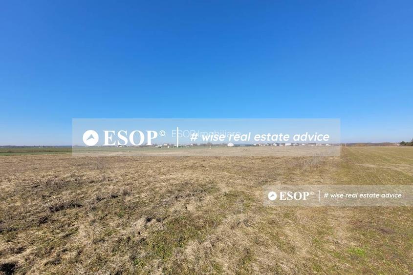 Teren de vanzare, Dascalu, ID 15402 - 17