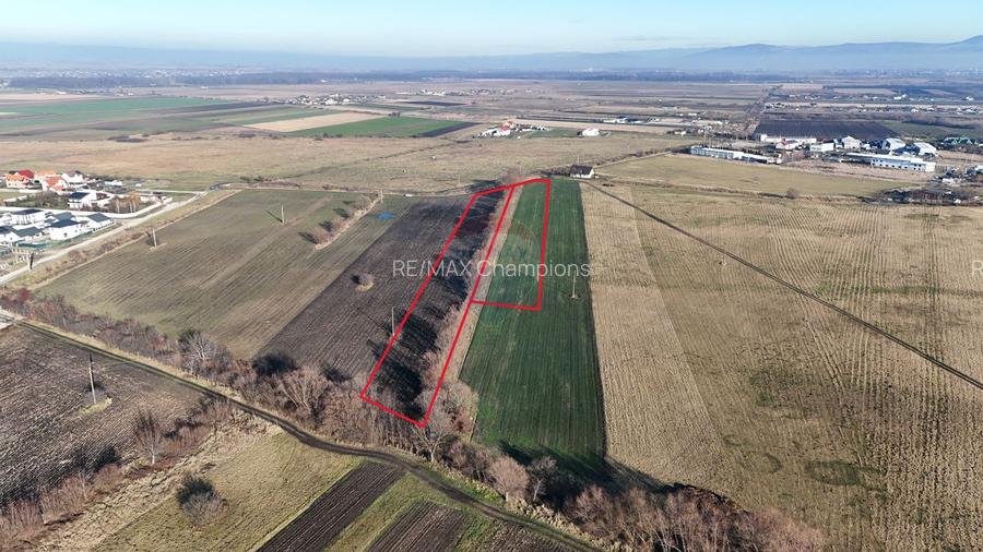 Teren extravilan cu potențial ridicat industrial/rezidential | Hărman - 2