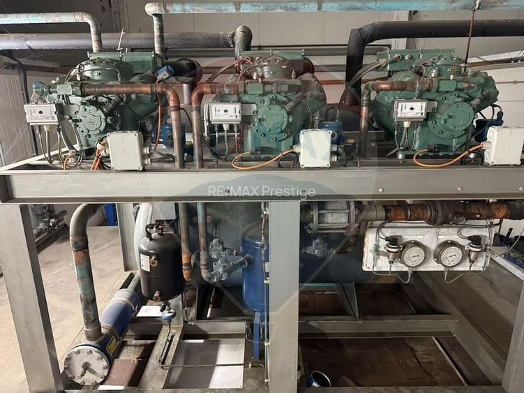 Ferma agro-industrială – 43 ha Adunații Copaceni - 24