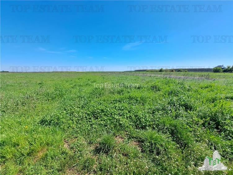 Loturi teren de vanzare Branesti/Vadu Anei - 8