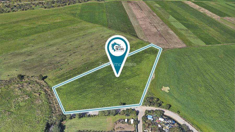 Teren de 11500 mp pentru Complex Rezidențial în Sânnicolau Mic - 4