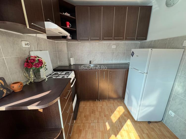 Apartament cu o camera Pod Piatra/Cantemir - 9