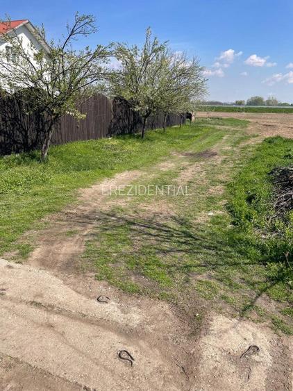 Teren Aeroport Clinceni - 2