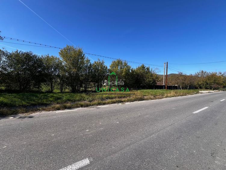 Teren intravilan/Str Balciului/Copacelu - 2