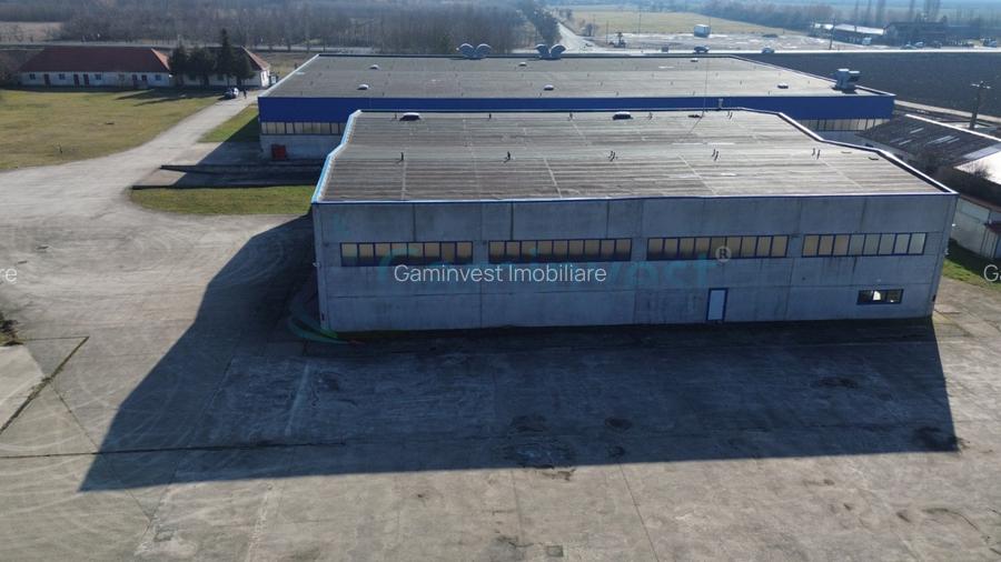 Hala Industriala de vanzare 6500 mp in Madaras la 30 km de Oradea, Bihor - 9