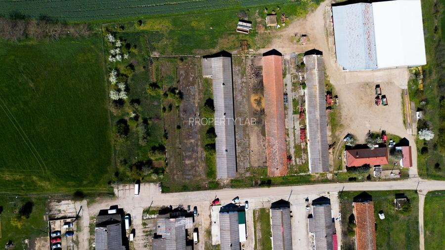 Spațiu depozitare 734mp și teren de 7.844mp Macea - 7