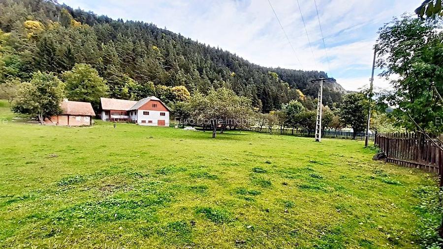 Teren superb de 16240mp, parcelabil, in Bran la intrare in Moeciu de Jos - 18