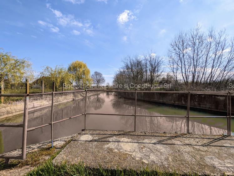 Teren intravilan Balint 22.500 mp - 8