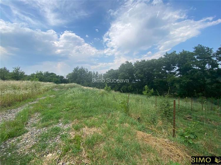 Teren 500mp Falticeni - 4