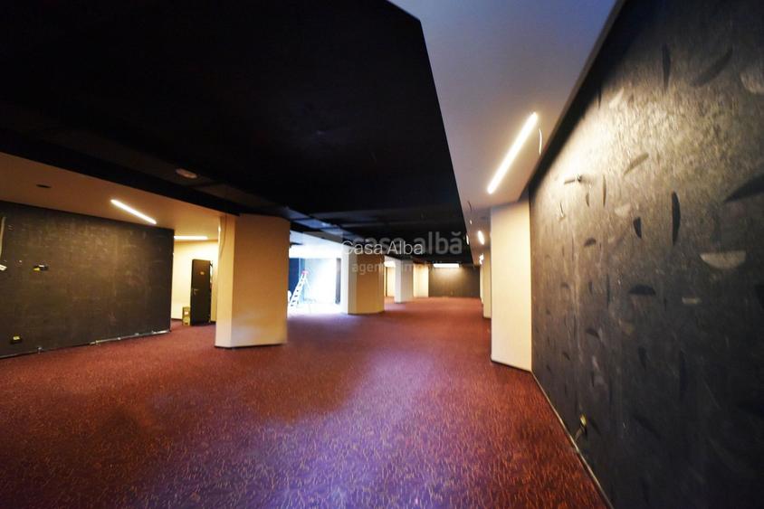 Alexandru cel Bun, spatiu excelent pozitionat, S+P, 800mp construiti - 10