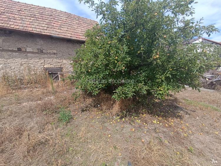 Teren 879 mp, front 15, zona RrEt-ideal pentru constructie-Someseni - 2