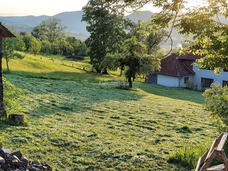 Casă de vânzare lemn tradițională, în Țara Zarandului!  - 12