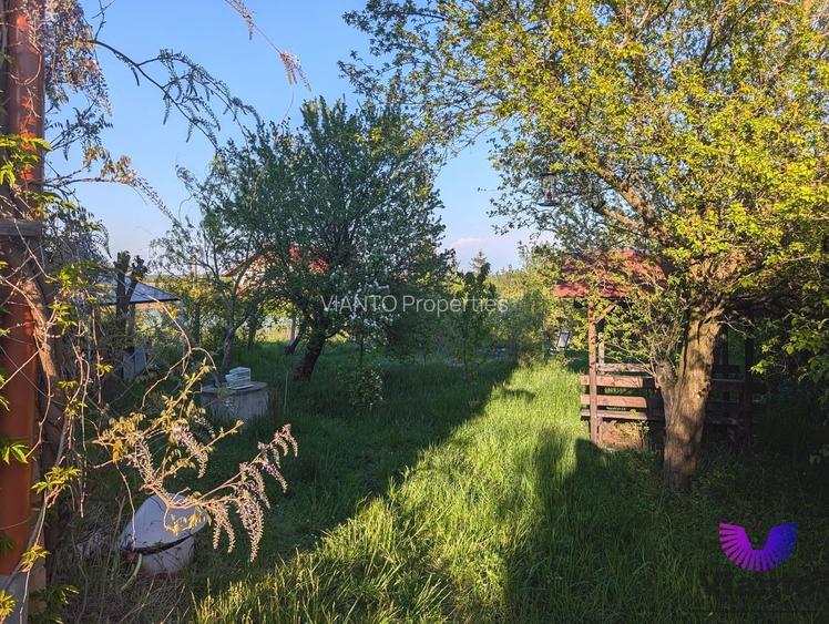 Casa individuala 65 mpu si 1000 mp teren | Daia Noua | Sibiu - 10