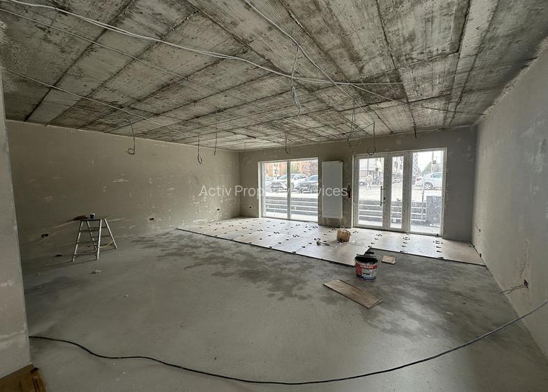 Sergent Ilie Petre 54 - spatii comerciale - 11