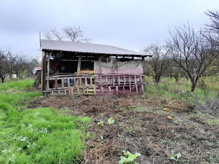 BARCANESTI -  casa +curte+teren 16k mp - 9