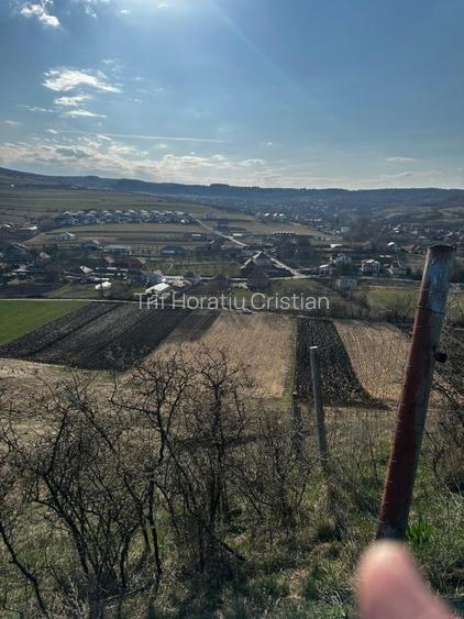 Teren extravilan 9000 mp Corușu, Baciu – acces drum,  acces apa curgatoare - 6