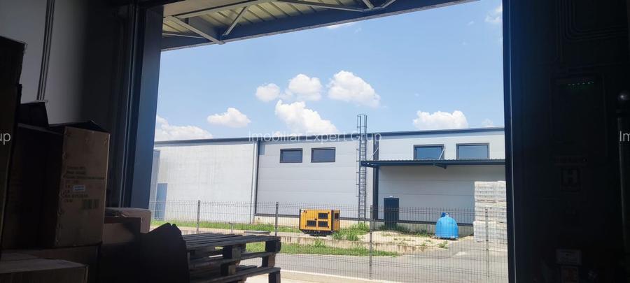 Hale noi 475 mp  Afumati -Doraly - 8