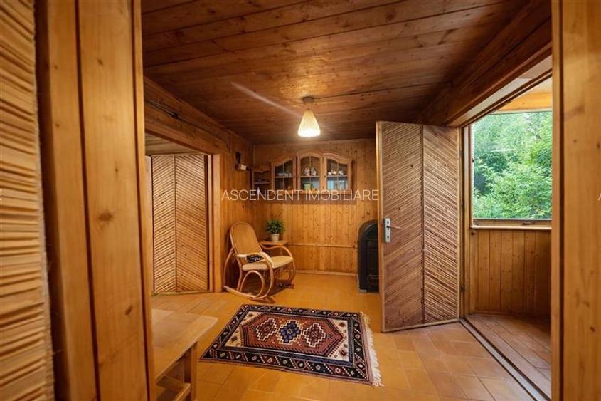 FILM &Tur LIVE! Casa de vacanta, intr- o ariere admirabila,Lunca Bradului - 8