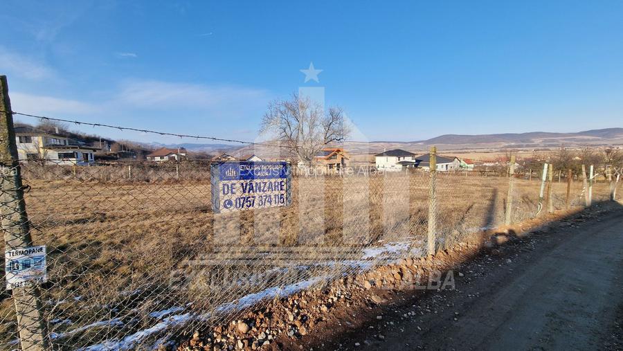 Teren intravilan | De vanzare | 3000 mp | 85 ml deschidere | Micesti - 6