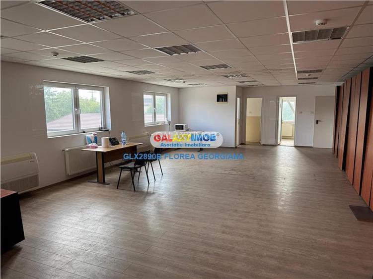 Vanzare spatiu industrial Crevedia - 12