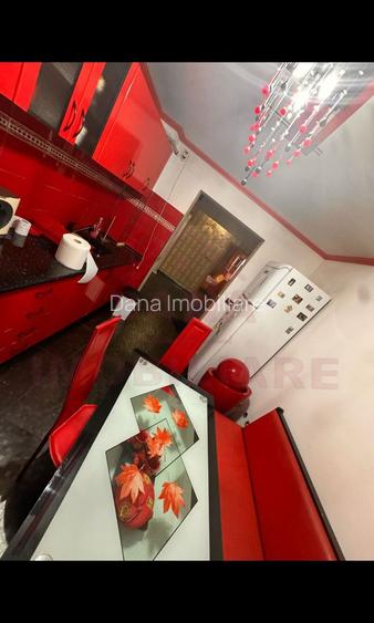 APARTAMENT DE VÂNZARE, 3 CAMERE, în CARANSEBEȘ, JUD. CARAȘ-SEVERIN - 10