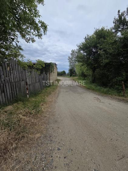 Teren cu hale de vanzare sau inchiriere ideal  investitie - Medies - 5