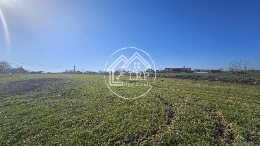 Loturi de Casa pe malul Lacului Creața, Dascălu – 460 mp + Drum servitute - 7