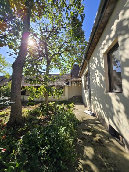 Cenad-CasaSpatii Birouri- 150mp-teren 1065mp - 13