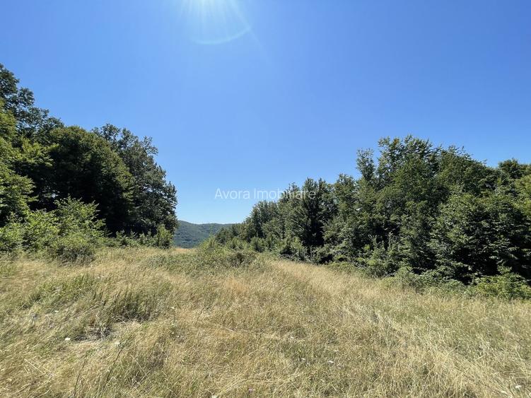 Teren Extravilan în mijlocul naturii. - 14