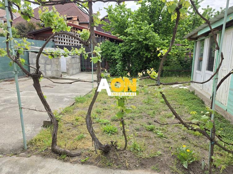 Casa 4 camere, 2 garaje, 652 mp teren, zona exclusivista, Cetate - 4