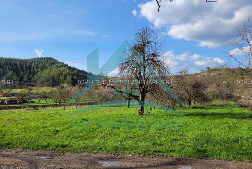 EXCLUSIVITATE! Teren intravilan de vanzare in zona linistita, sat Vlaha! - 8