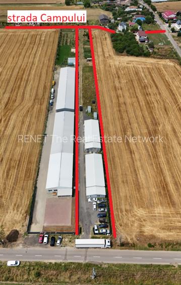 CIOLPANI, LOT 5.000 MP, HALE INDUSTRIALE! - 2