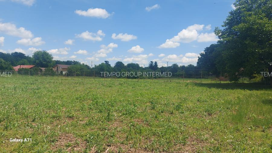Snagov- Gruiu- Santul Floresti -Proprietate cu stil pentru oameni gospodari! - 53