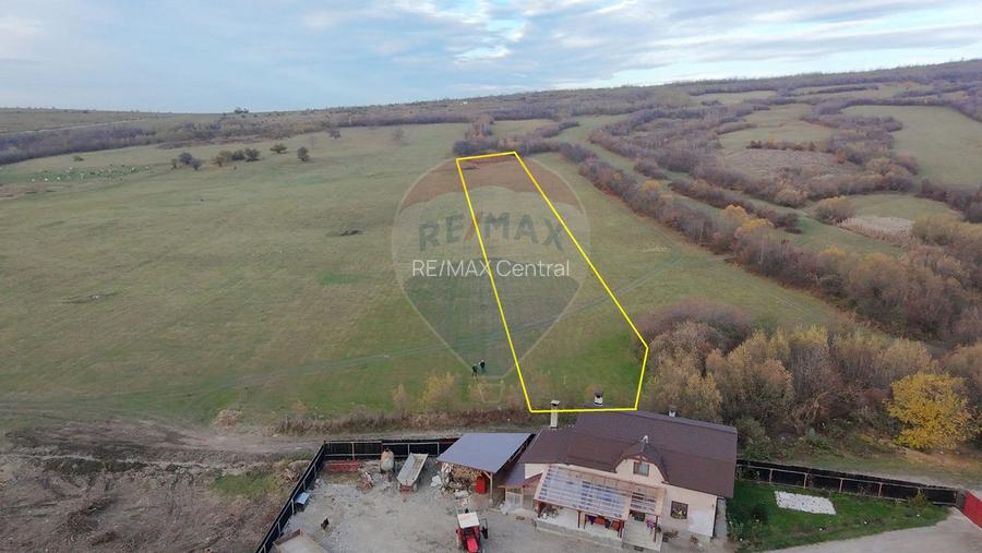 Teren 5.800 mp Purcareni curent, gaz, apă / Strada 30 decembrie - 7