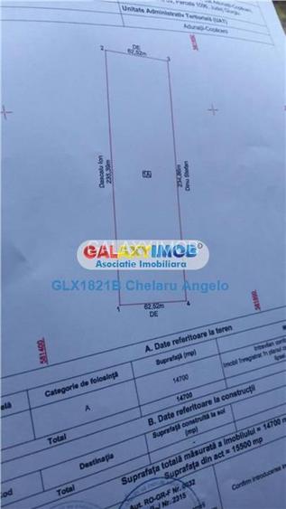 Adunatii Copaceni teren intravilan  14700 mp,deschidere 62m - 5