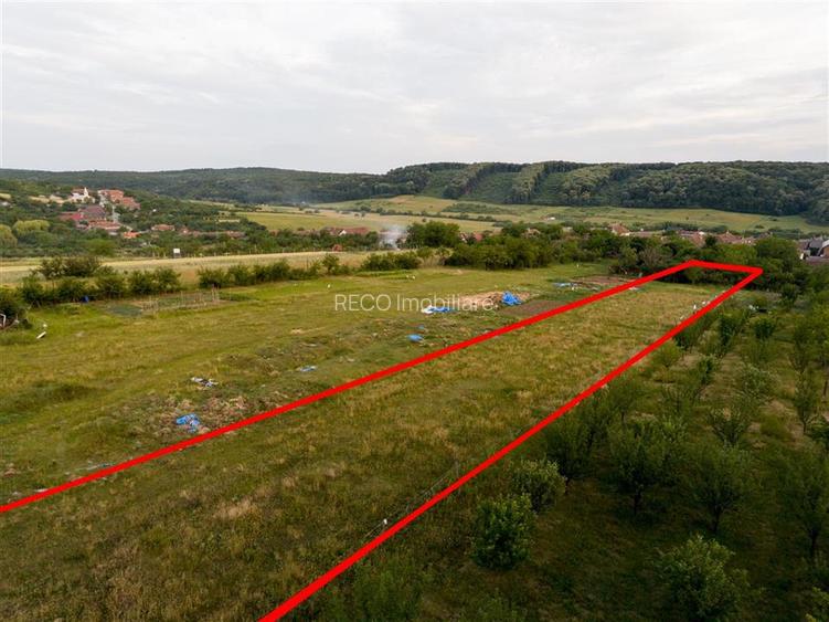 RECO Teren intravilan de vanzare Betfia, Bihor - 3000 mp, front stradal 20 m - 5