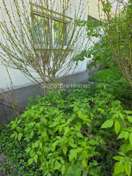 Apartament 2 camere ultrafinisat/mobilat  Aviatiei - Herastrau - 6
