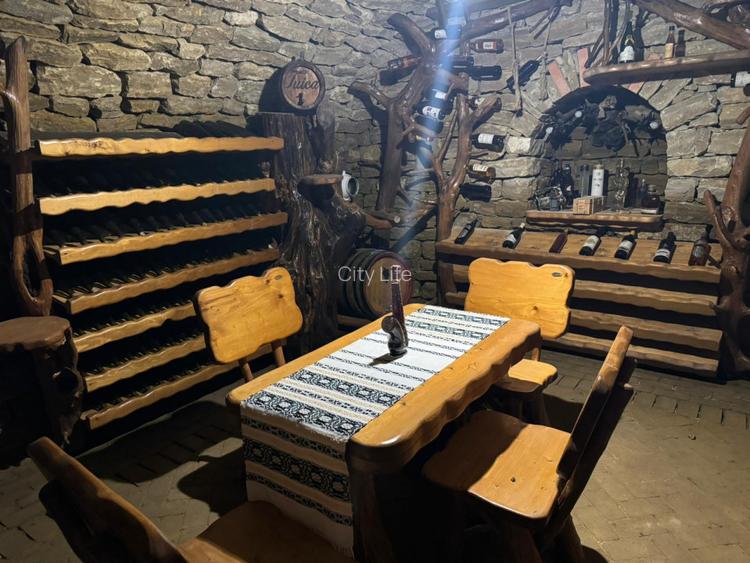 Vila exclusivista -Family Market Bucium - 4