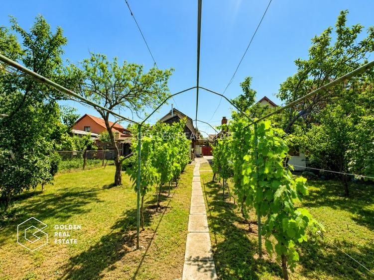 Casa cu teren 688 mp, 2 corpuri de cladire, Parneava - 21