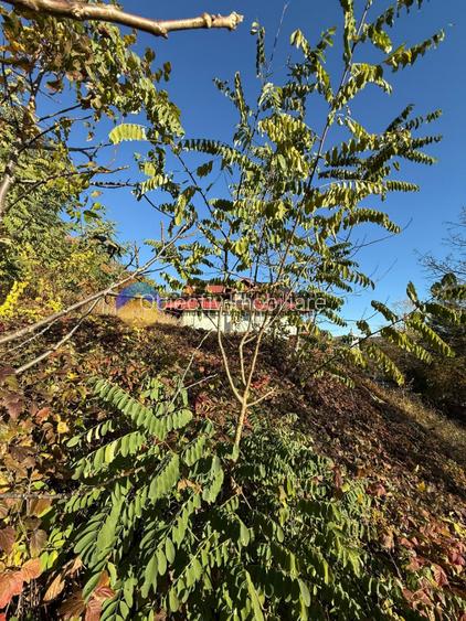 Teren intravilan 1543 mp – zona Darmanesti - 6