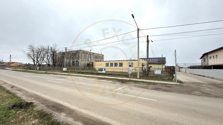 Inchiriere Cladire Productie, Depozitare 278 mp -Teren 1380 mp - Carei  - 18