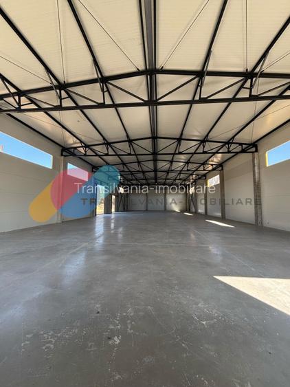Hale de vânzare – 600 mp, open space, acces TIR, zona intrare Baciu - 2