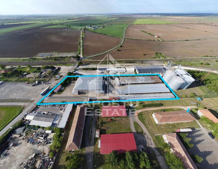 SPATIU INDUSTRIAL cu 3 hale si depozite acoperite - 6