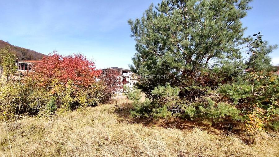 Teren Intravilan Bunloc - 4