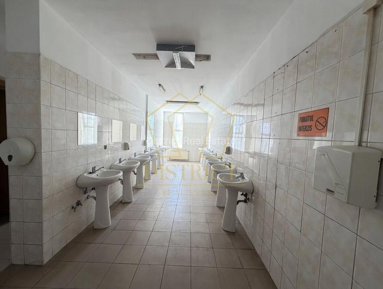 Hala industriala 4.300mp | Sagului | Timisoara | - 18