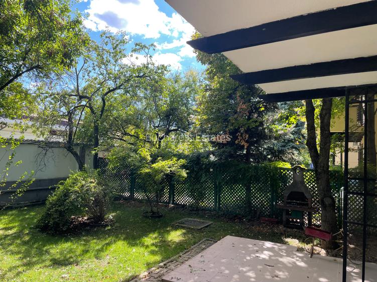 Iancu Nicolae vila 5 dormitoare gradina matura - 10