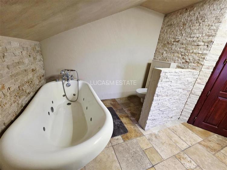 Vila, Cerneteaz, Teren Generos, Casa de Oaspeti, Beci, Garaj - 18