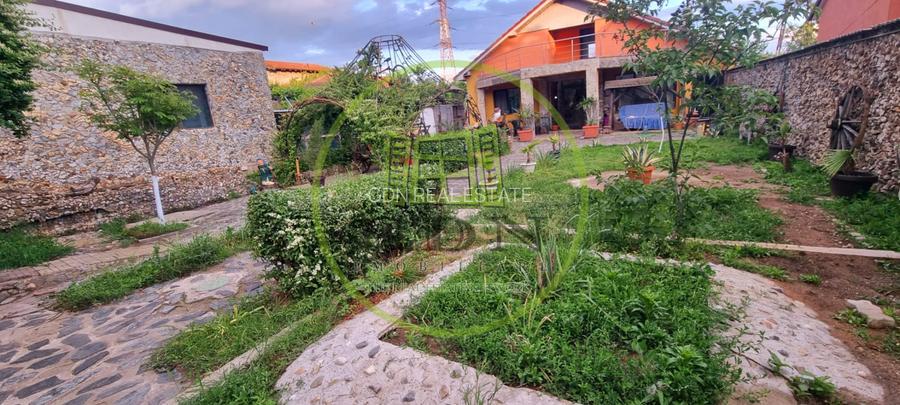 Casă parter cu teren de 1400 mp în Bariera Vâlcii aproape de drumul expres - 2