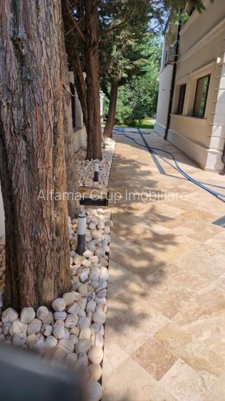 Vila cu piscina Pipera- Iancu Nicolae, Comision 0% - 16