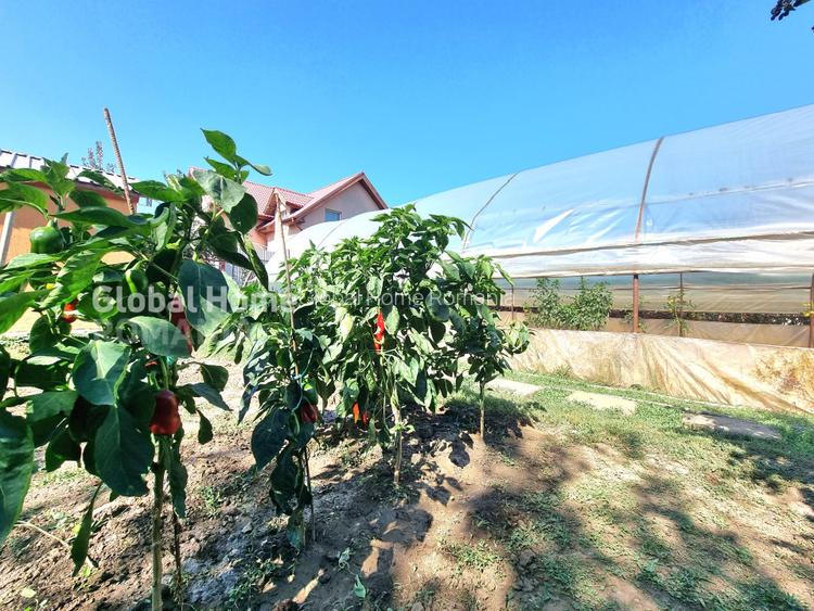 Vila P+1+Teren 1094MP + Gradina + Livada + Garaj | 1 Decembrie - Sos. Giurgiului - 39